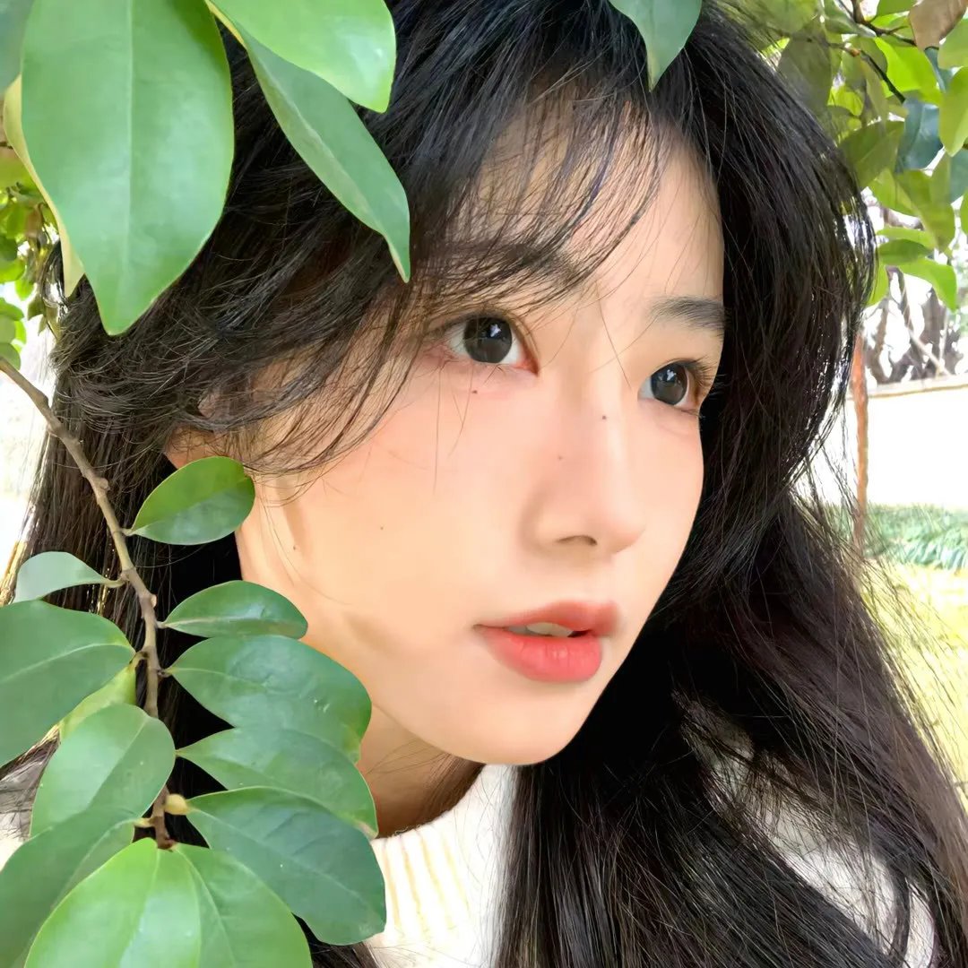 通心树粤语